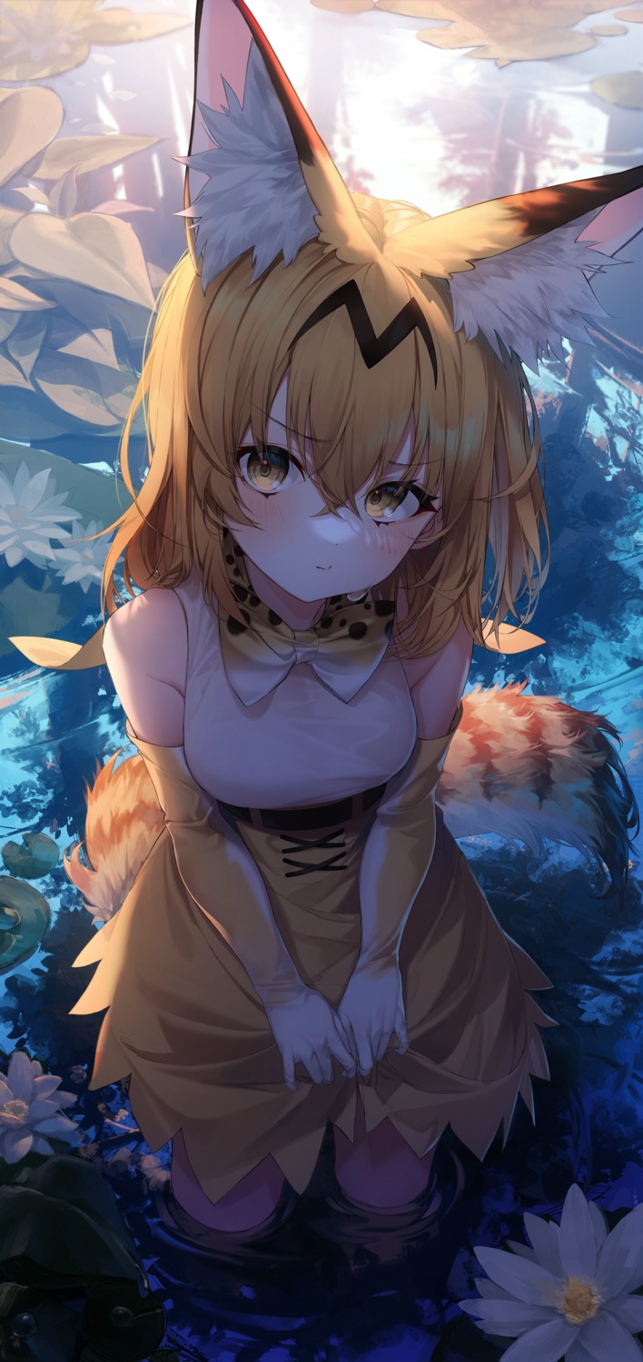 animal_ears, kemono_friends, lo-ta, serval, skirt_lift, tail, wet