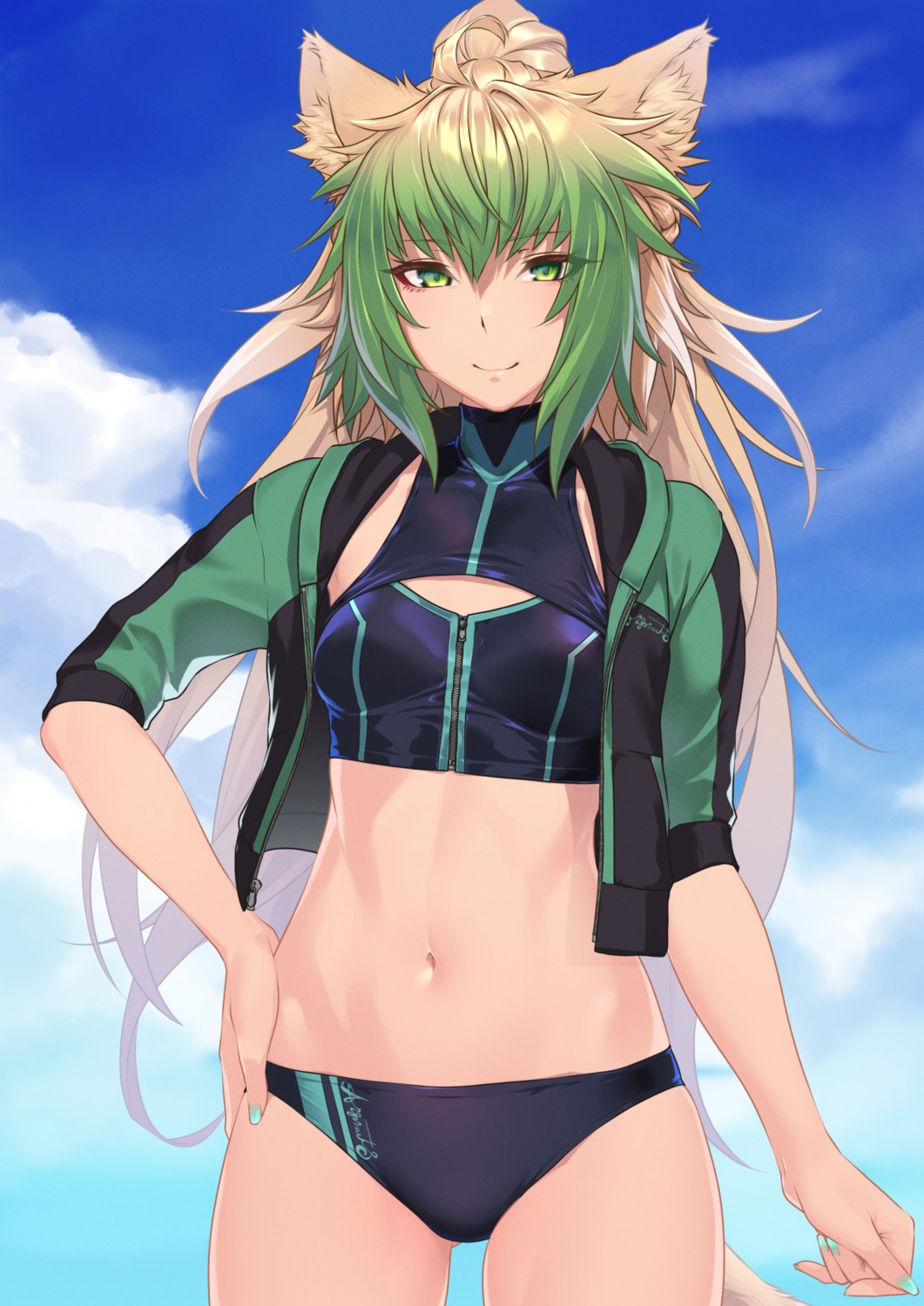 animal_ears, atalanta_(fate), bikini, fate/grand_order, hikichi_sakuya, nekomimi, open_shirt, swimsuits
