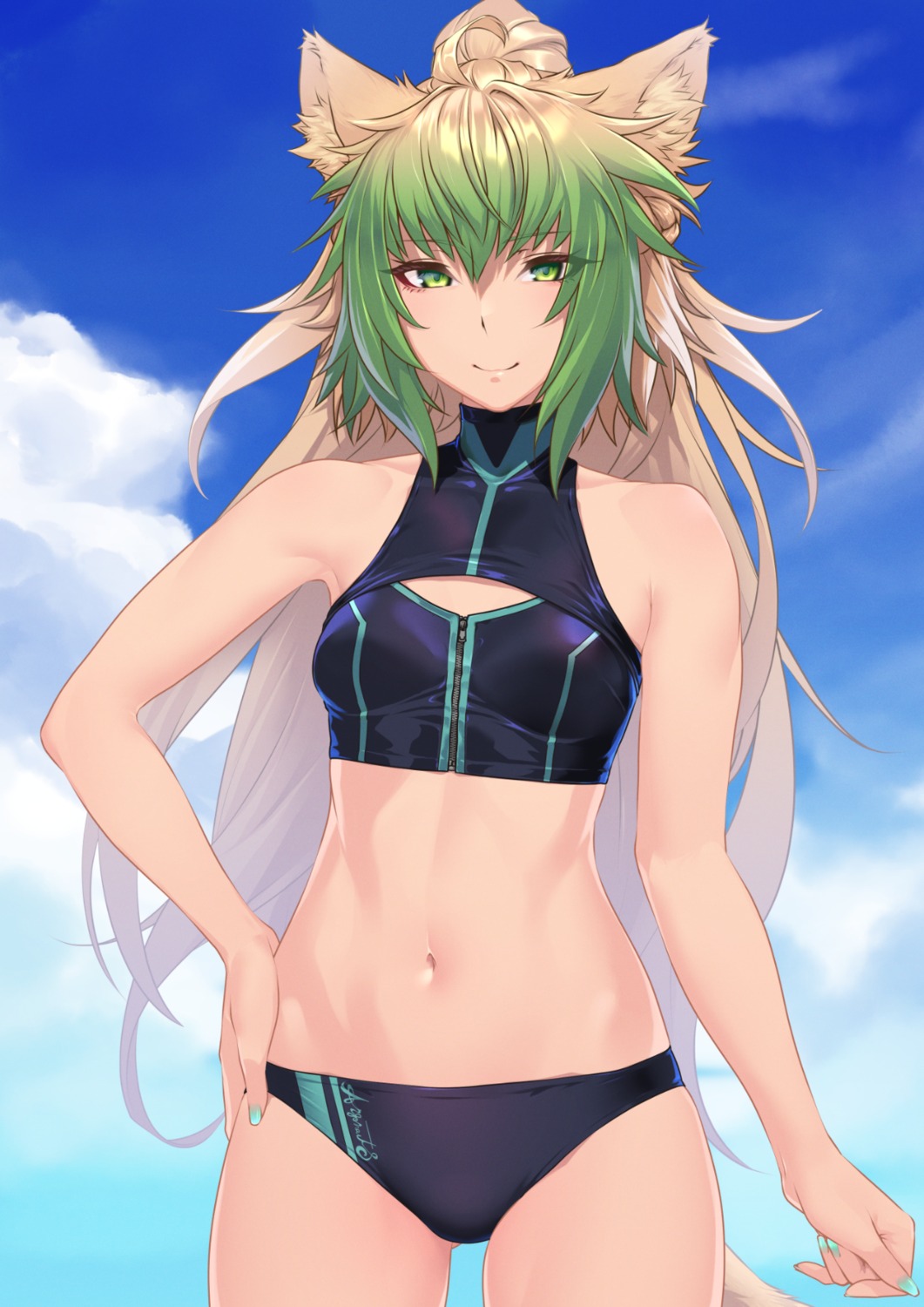 animal_ears, atalanta_(fate), bikini, fate/grand_order, hikichi_sakuya, nekomimi, swimsuits
