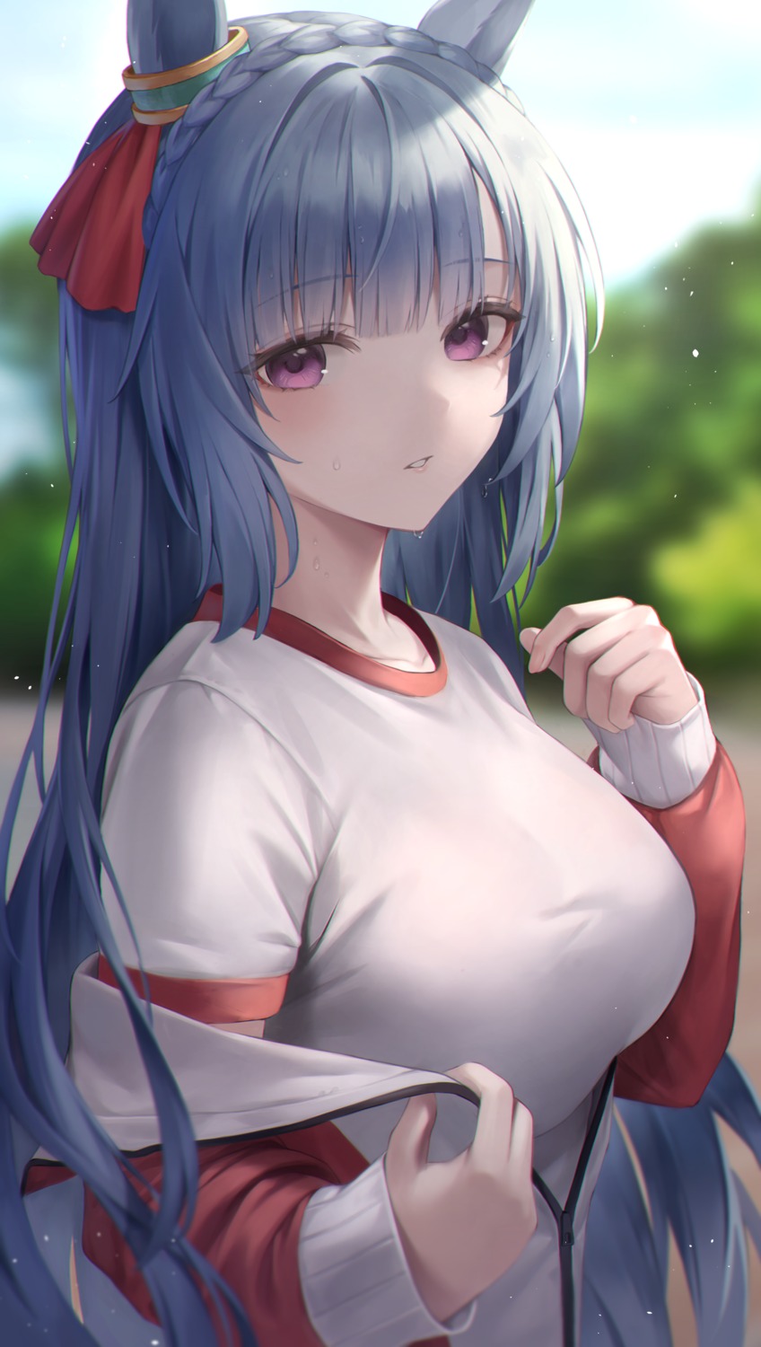 animal_ears, gym_uniform, hibimaru, mejiro_ardan_(umamusume), uma_musume_pretty_derby, undressing