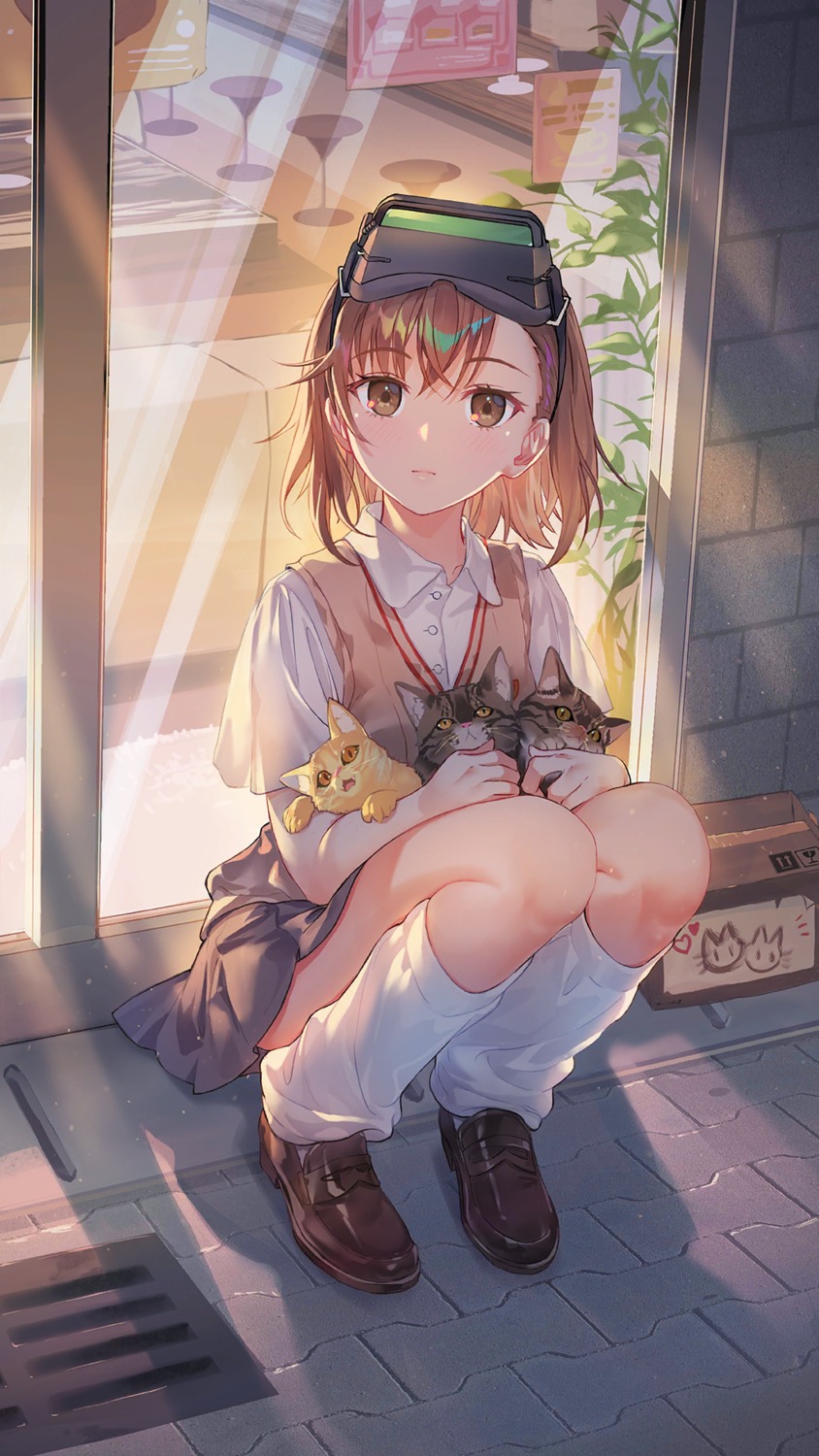 girl_cafe_gun, girl_cafe_gun_ii, misaka_imouto, neko, seifuku, sweater, tagme, toaru_kagaku_no_railgun