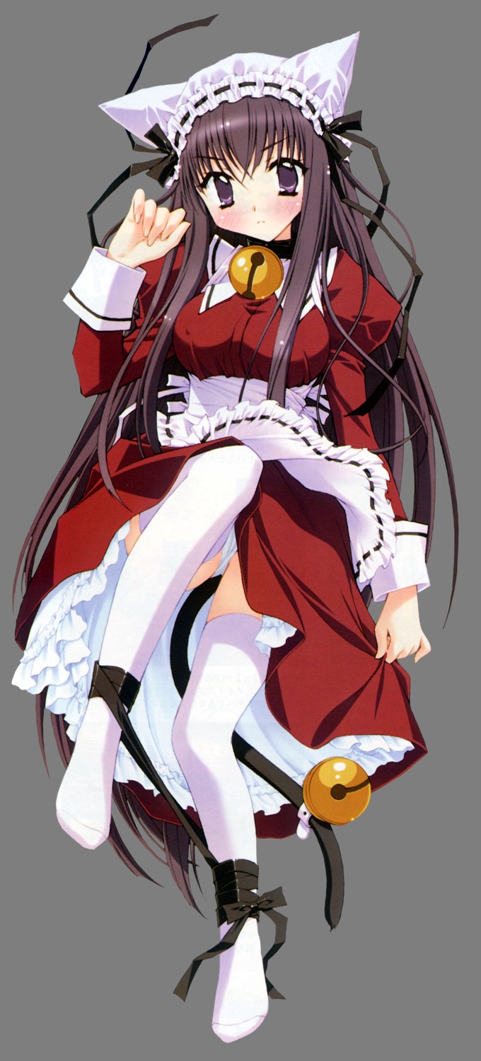 animal_ears, dakimakura, kadoi_aya, maid, nekomimi, pantsu, thighhighs, transparent_png