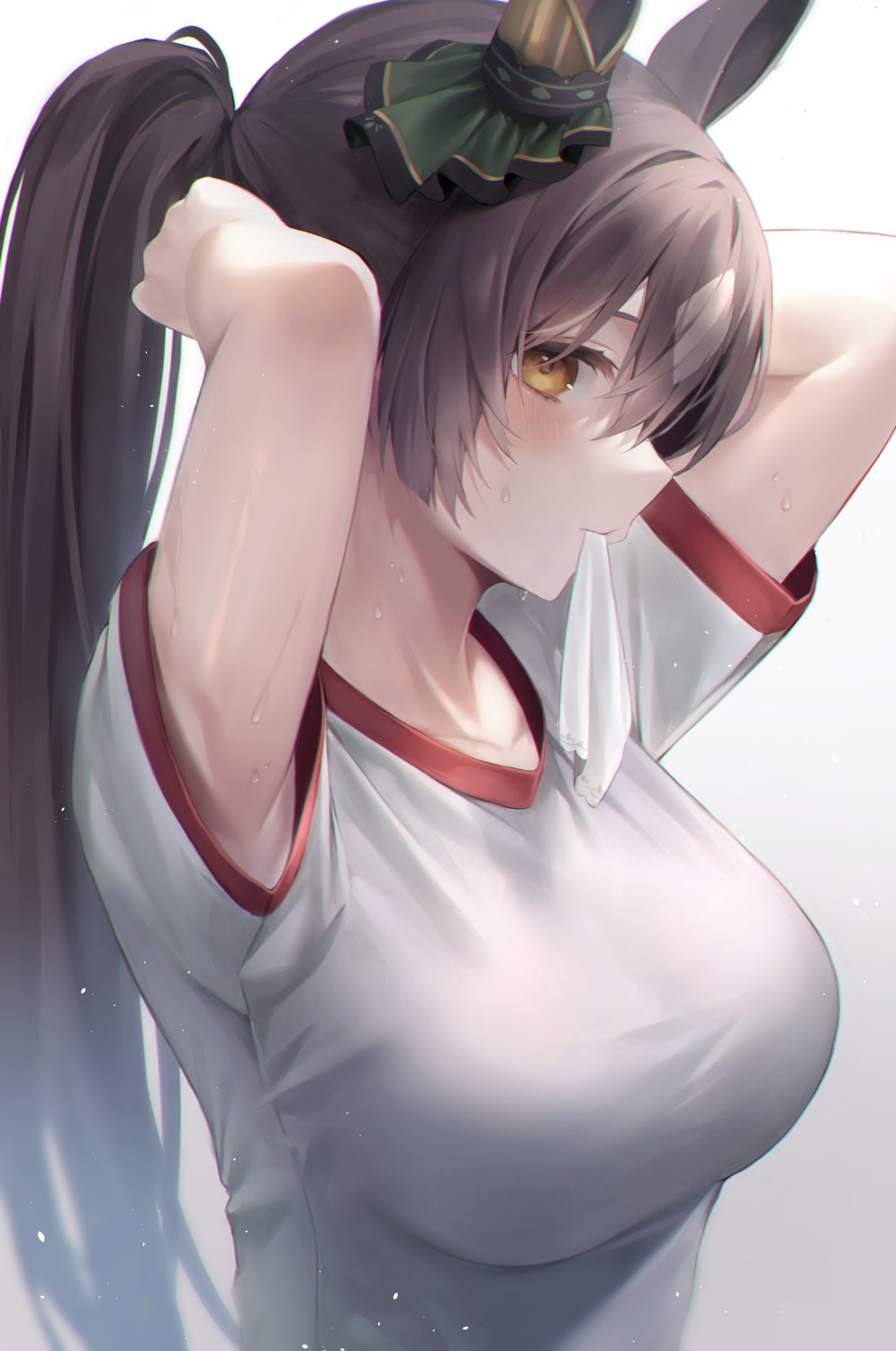 animal_ears, gym_uniform, hibimaru, satono_diamond_(umamusume), uma_musume_pretty_derby