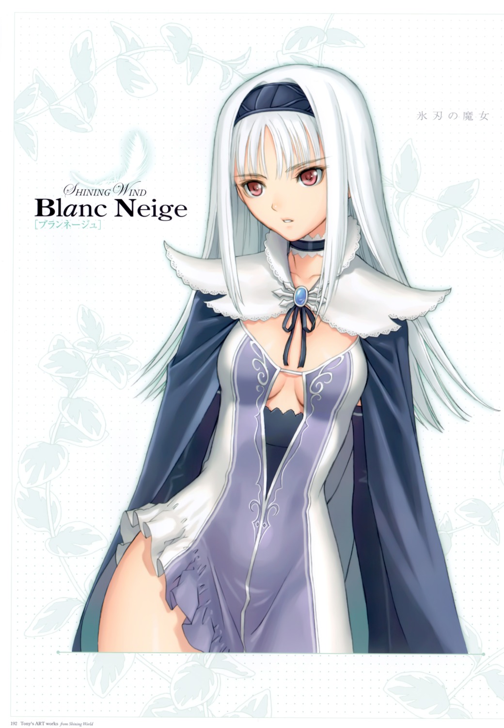 blanc_neige, cleavage, shining_tears, shining_world, tony_taka