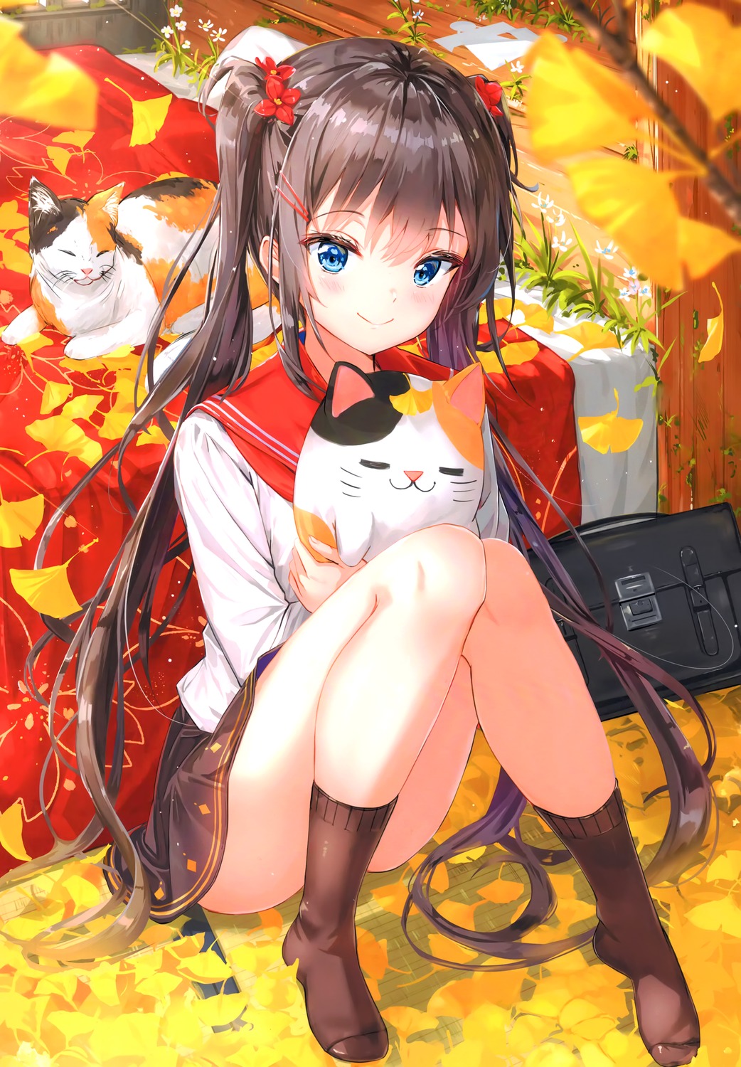 kankitsu_shoujo, nakyo, neko, seifuku, skirt_lift