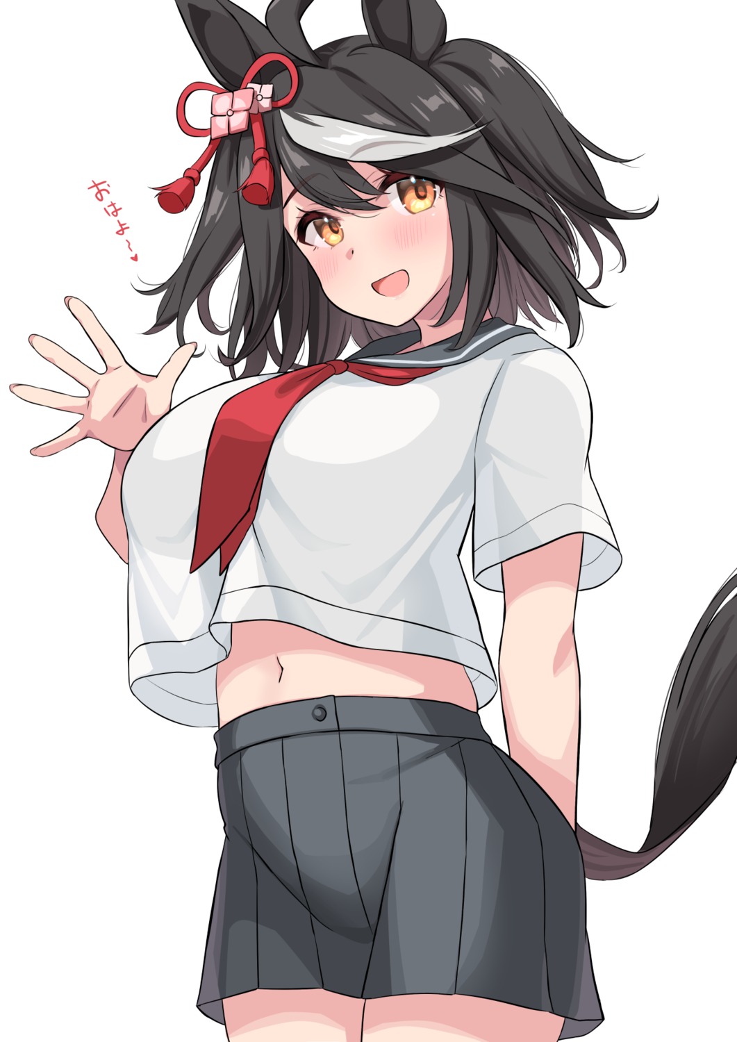 animal_ears, kibihimi, kitasan_black_(umamusume), see_through, seifuku, tail, uma_musume_pretty_derby