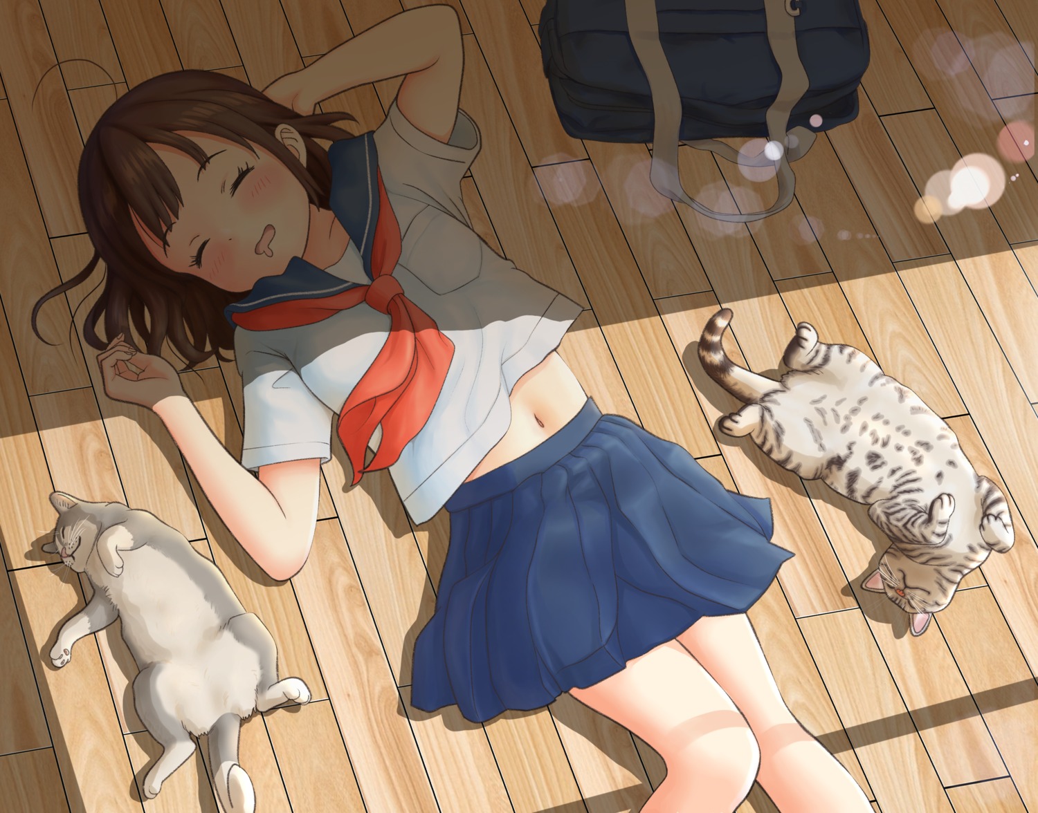 neko, seifuku, shirt_lift, yachiyo_naga