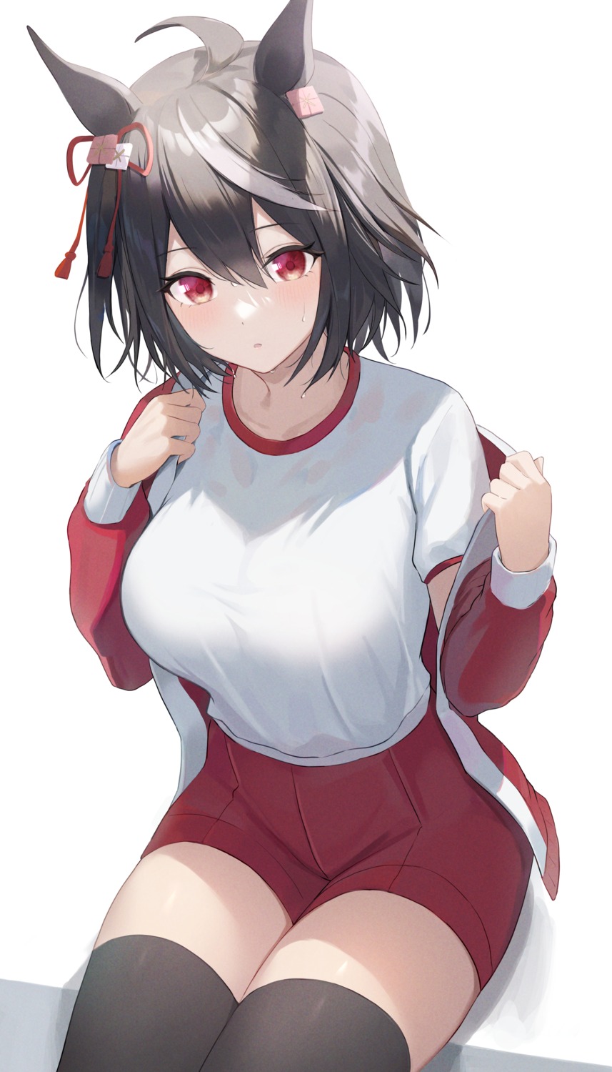 animal_ears, gym_uniform, hiroserii, kitasan_black_(umamusume), thighhighs, uma_musume_pretty_derby, undressing