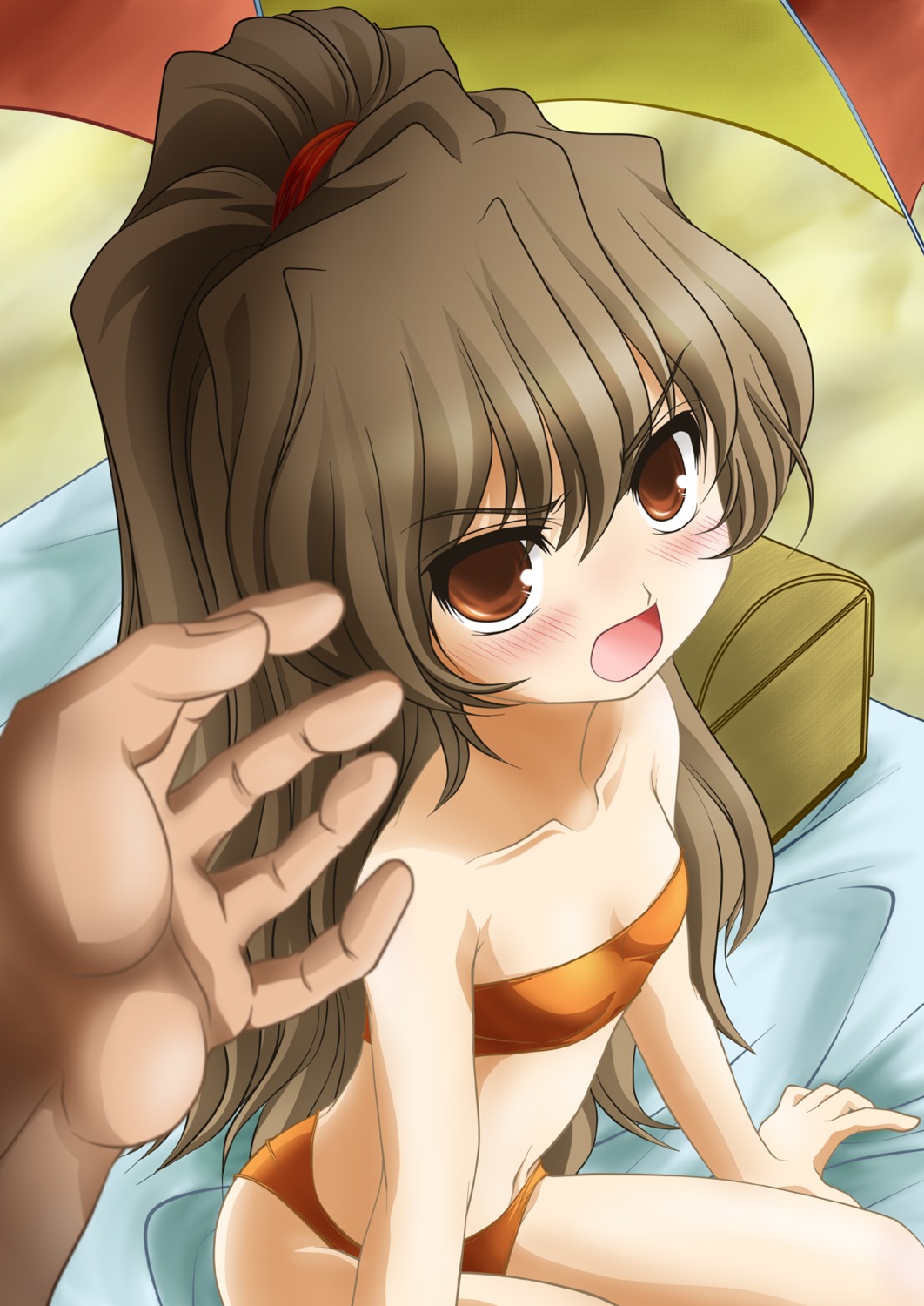 aisaka_taiga, bikini, ranshin, swimsuits, toradora!