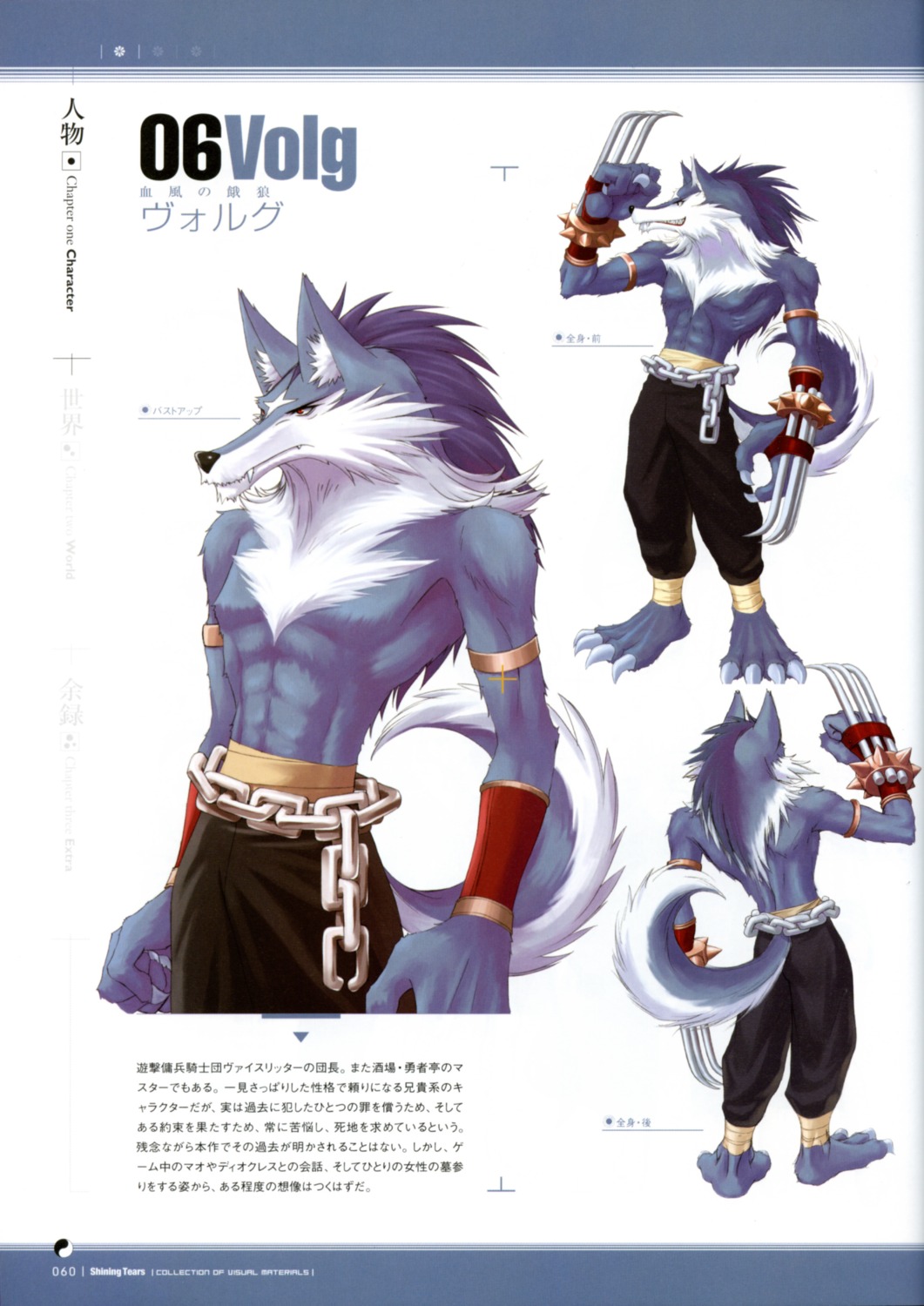 male, shining_tears, shining_world, tony_taka, volg