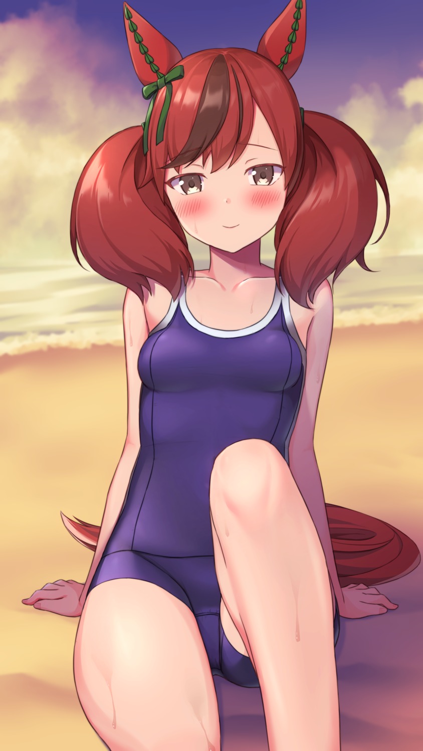 animal_ears, kuro_kinkan, nice_nature_(umamusume), school_swimsuit, swimsuits, tail, uma_musume_pretty_derby