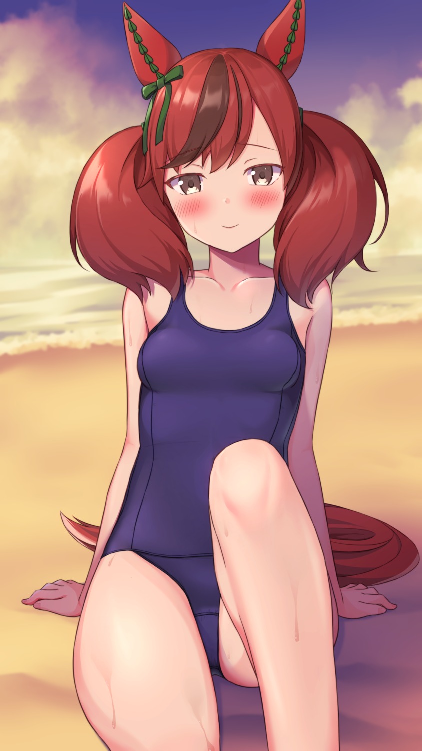 animal_ears, kuro_kinkan, nice_nature_(umamusume), school_swimsuit, swimsuits, tail, uma_musume_pretty_derby