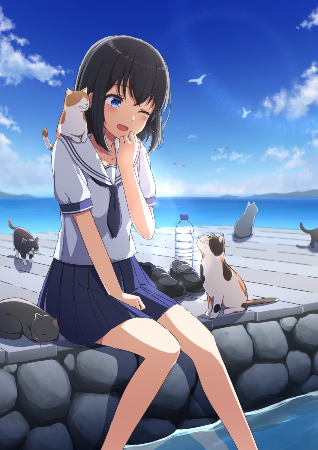neko, seifuku, soranishi_hiro