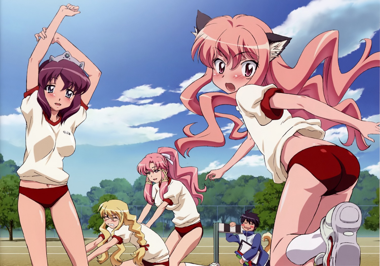 animal_ears, cattleya_(zero_no_tsukaima), elenor, gym_uniform, henrietta_de_tristain, hiiraga_saito, louise_francoise_le_blanc_de_la_valliere, nekomimi