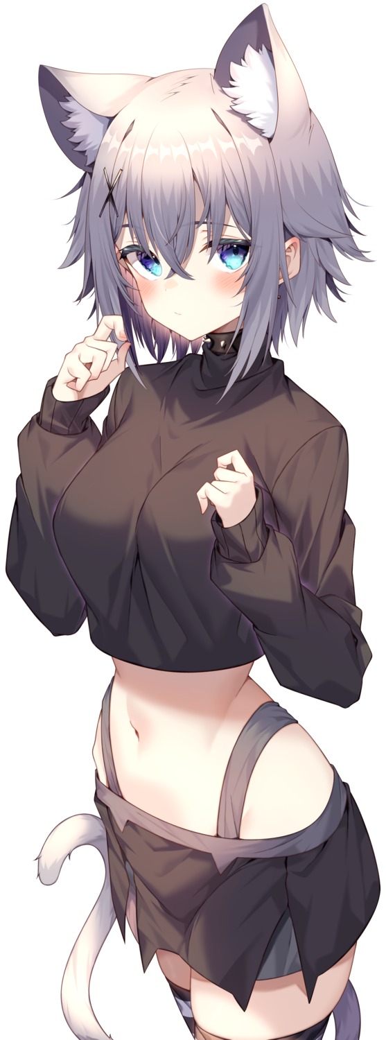 animal_ears, jun_(aousa0328), nekomimi, tail, thighhighs