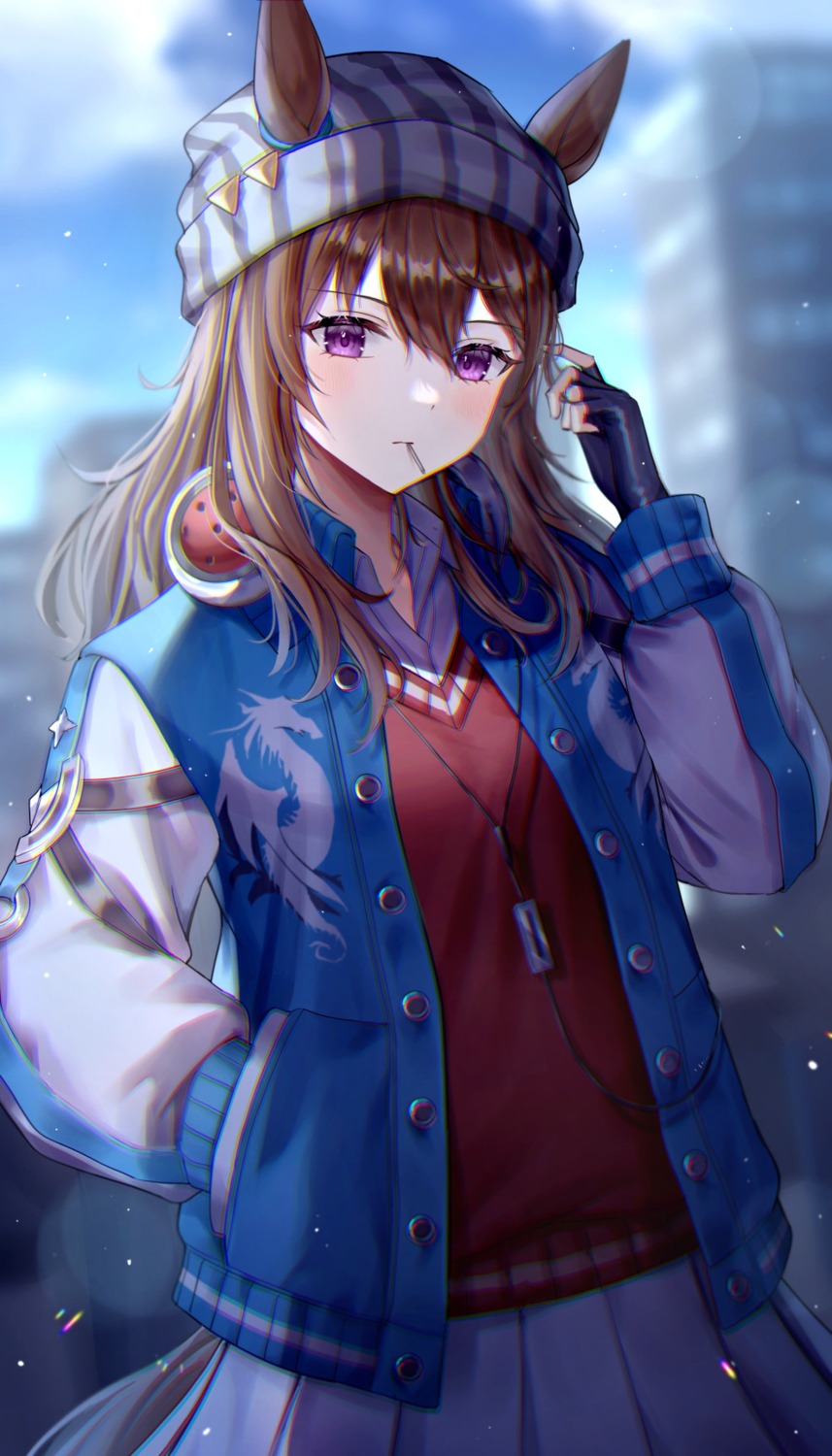 akatsuki_(pixiv23539542), animal_ears, nakayama_festa_(umamusume), seifuku, sweater, tail, uma_musume_pretty_derby