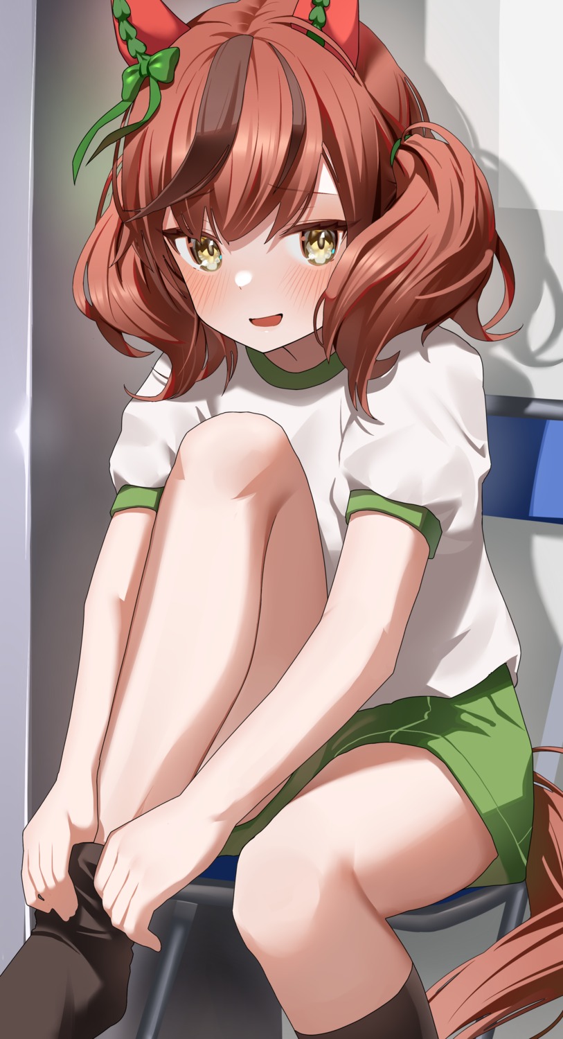 animal_ears, gym_uniform, nice_nature_(umamusume), ningen_mame, tail, uma_musume_pretty_derby, undressing
