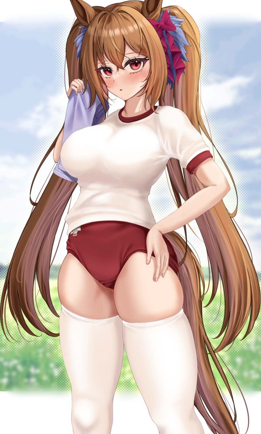 animal_ears, buruma, daiwa_scarlet_(umamusume), fukuda_shuushi, gym_uniform, tail, thighhighs, uma_musume_pretty_derby