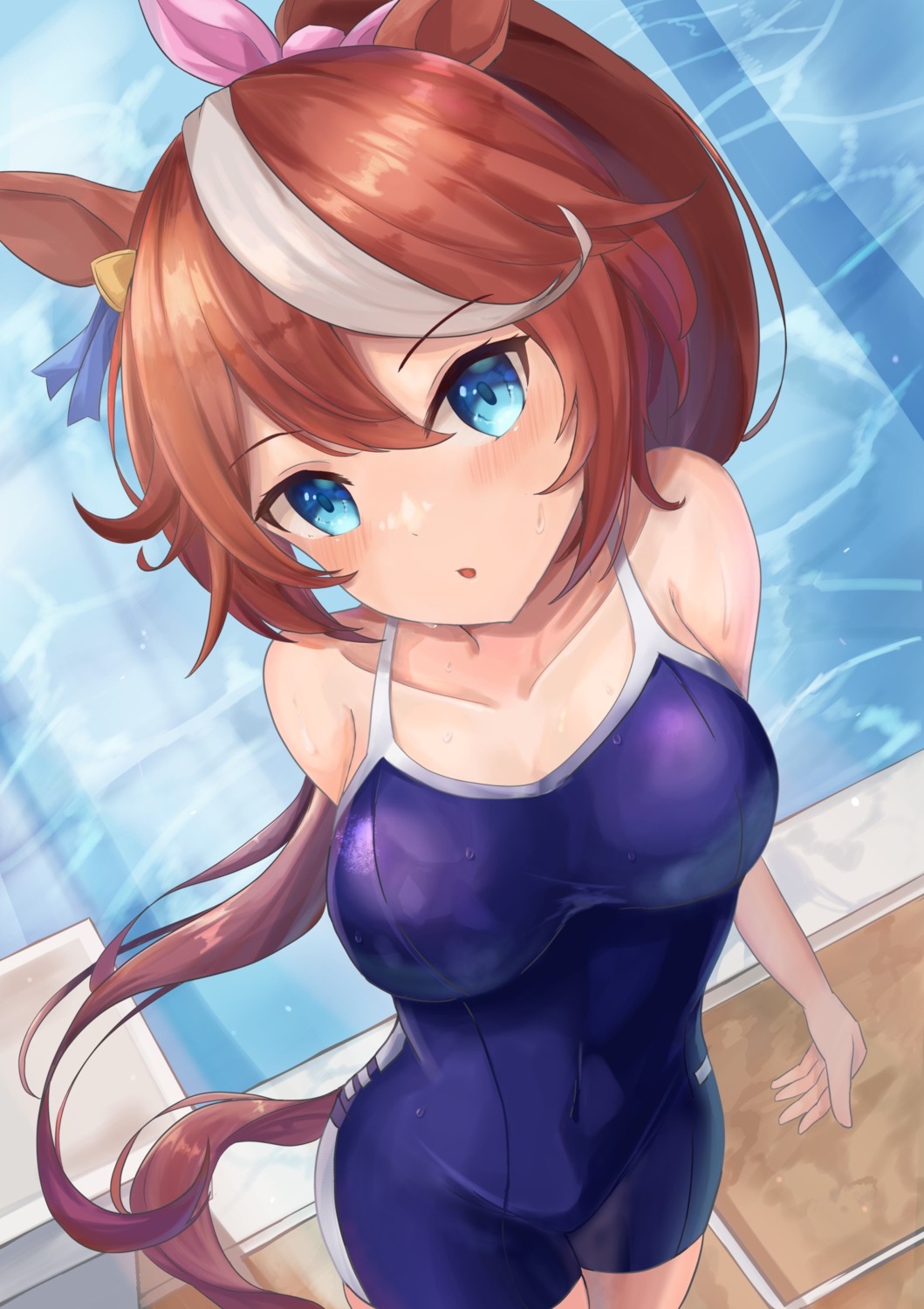 animal_ears, school_swimsuit, swimsuits, tail, tokai_teio_(umamusume), uma_musume_pretty_derby, waity_awa, wet