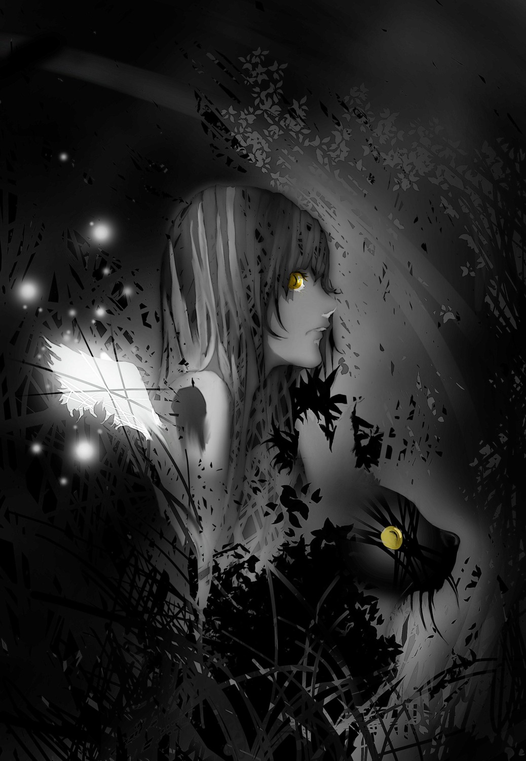 kentarou, monochrome, neko