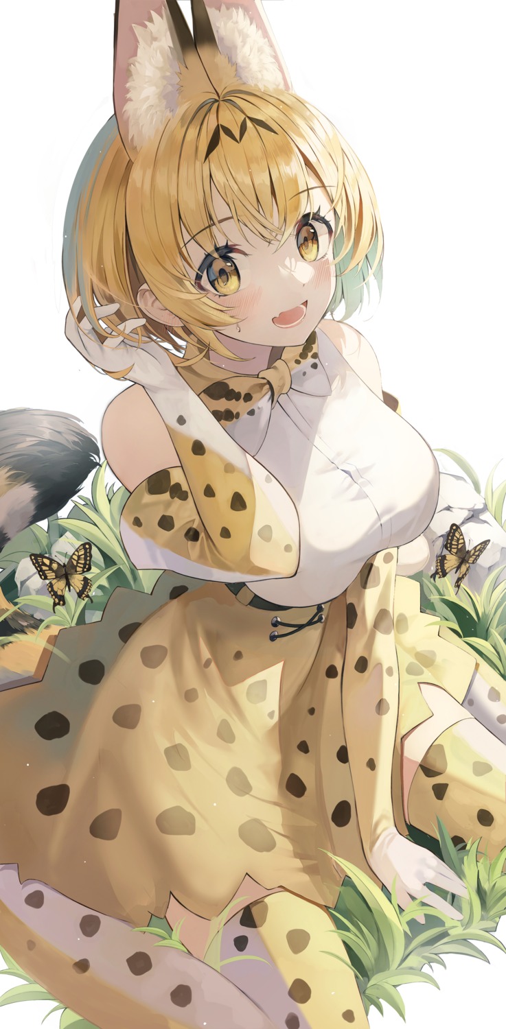 animal_ears, animal_ears_(artist), kemono_friends, serval, tail, thighhighs