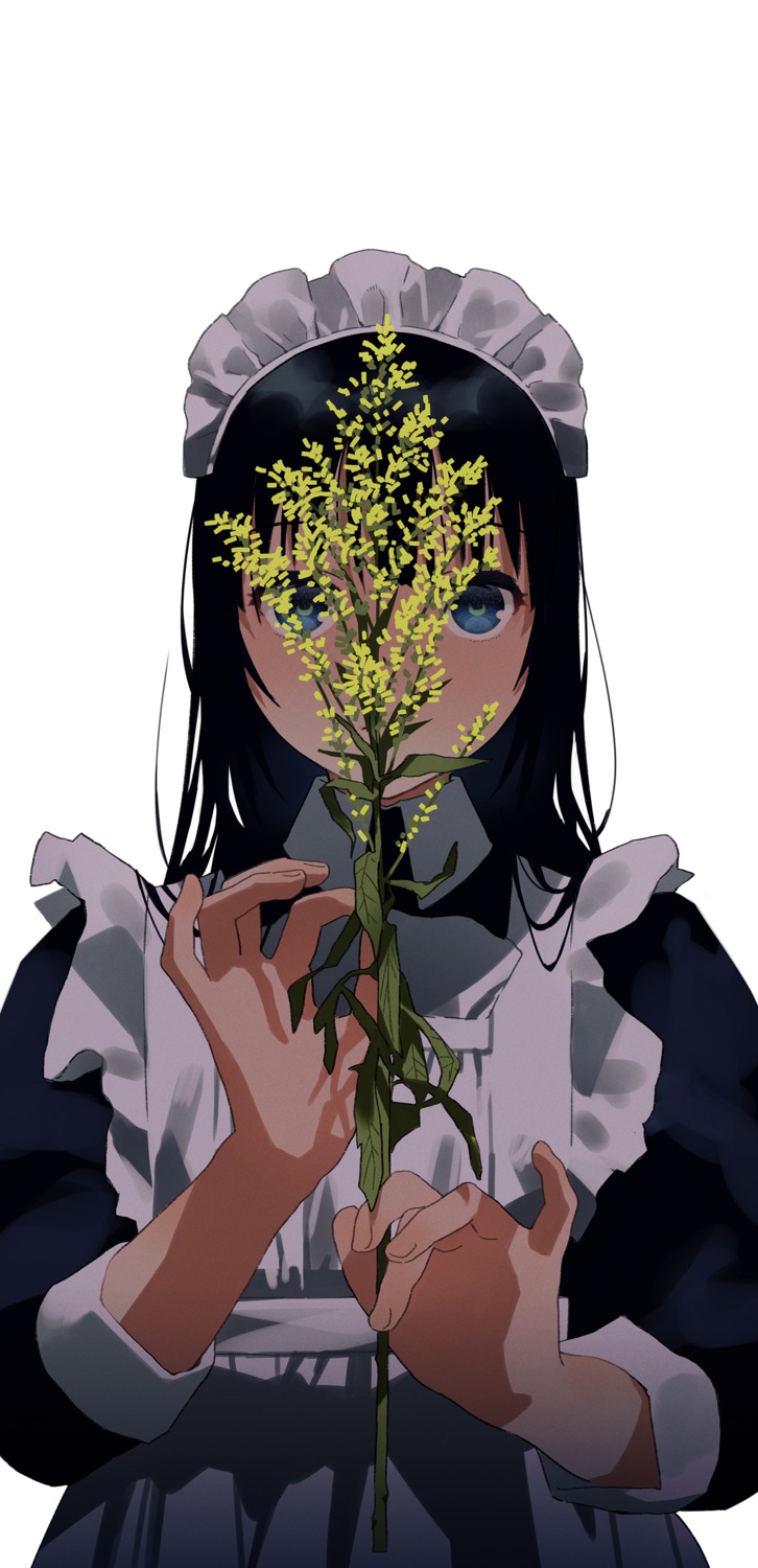 maeya_susumu, maid