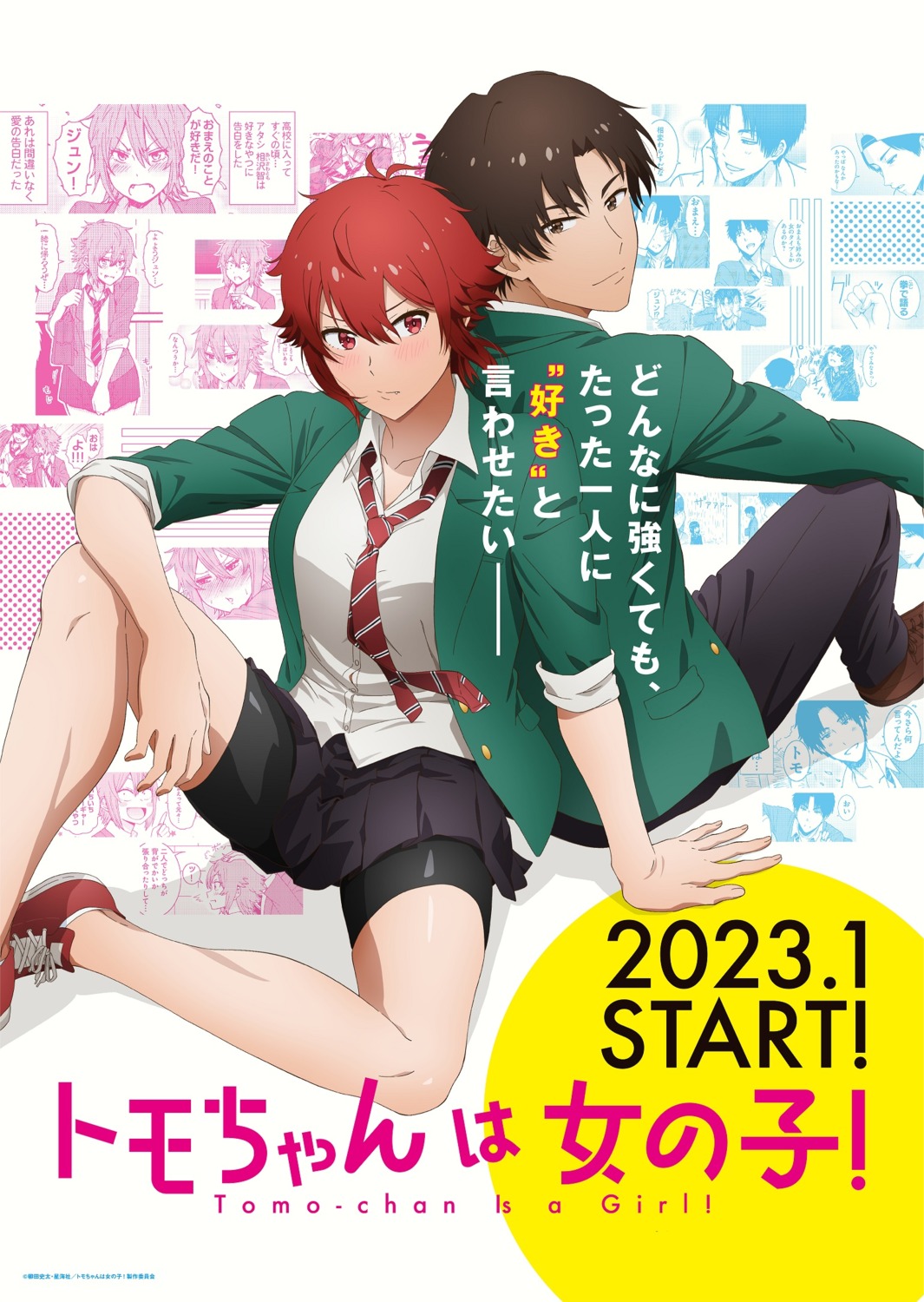 aizawa_tomo, bike_shorts, kubota_junichirou, seifuku, tagme, tomo-chan_wa_onna_no_ko!