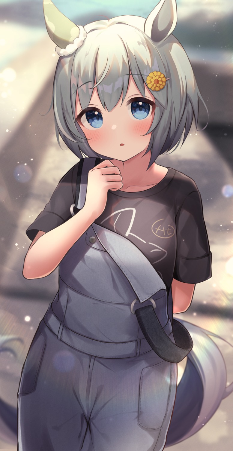 animal_ears, hazuki_lime, overalls, seiun_sky_(umamusume), tail, uma_musume_pretty_derby